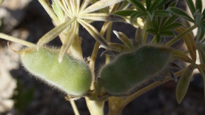 Liliane Roubaudi, le 24 avril 2016 (Portugal)