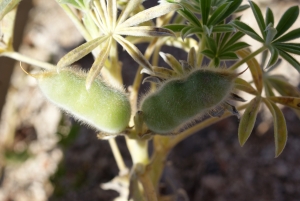 Liliane Roubaudi, le 24 avril 2016 (Portugal)