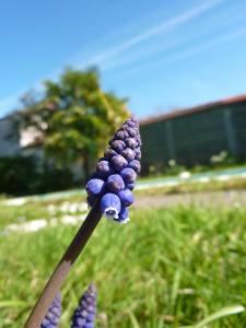 Alain POUZOU, le  6 mars 2014