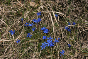 Madeleine Dugois, le 30 avril 2017 (39400 Morbier, France)