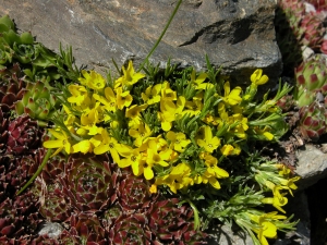 liliane Pessotto, le 19 juin 2008 (Naut Aran (Baqueira))