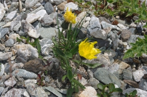 Jean-Luc Gorremans, le 21 août 2015 (Pralognan-la-Vanoise)