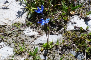 Dominique Duveau, le  7 juillet 2017 (Col Agnel, 05350 Molines-en-Queyras, France)