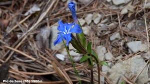 Dominique Duveau, le 10 juin 2011 (Pic de Bure, 05400 La Roche-des-Arnauds, France (Pic de bure))