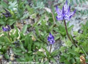 Dominique Duveau, le  7 juillet 2017 (Col Agnel, 05350 Molines-en-Queyras, France)