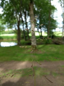 Florent Portalez, le 26 mai 2018 (Montipouret)