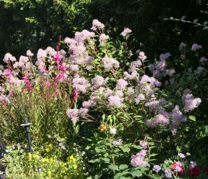 Francois Tissot, le  1 juin 2018 (Éguilles, France)