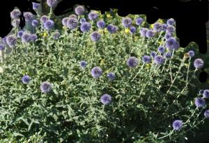 Liliane Roubaudi, le 21 août 2018 (Chamonix-Mont-Blanc)