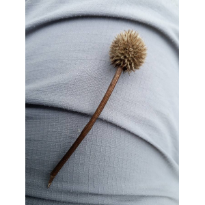 Eryngium yuccifolium Michx.