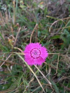 Florent Portalez, le 25 août 2018 (Tence)