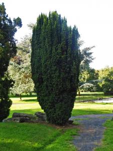 Guy Lecq, le 25 août 2018 (Arras, France (Jardin du Gouverneur))