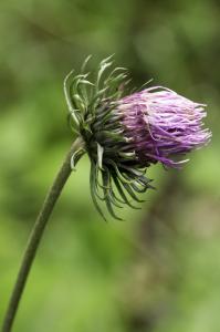 Jean-Jacques Houdré, le  5 juillet 2018 (Laruns (Gorges du Bitet))