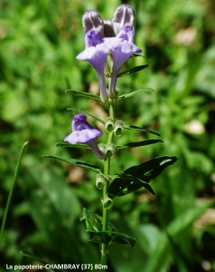 Dominique Duveau, le 10 juin 2017 (37170 Chambray-lès-Tours, France)