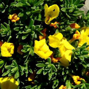 Alain Bigou, le 25 juin 2018 (Sallent de Gállego (Col du Pourtalet))