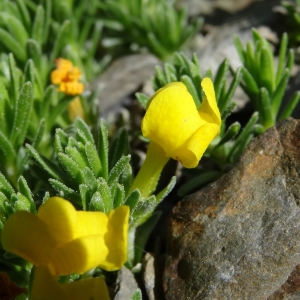 Alain Bigou, le 25 juin 2018 (Sallent de Gállego (Col du Pourtalet))
