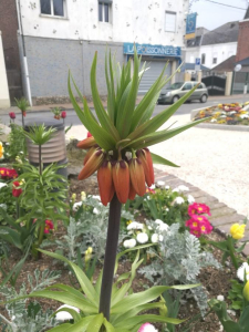 raymond TRUY, le  7 avril 2019 (Caudry)