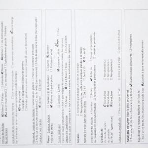  - Rosa blondaeana Ripart ex Déségl. [1861]