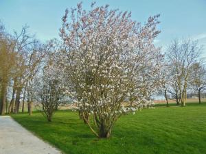 Guy Lecq, le 30 mai 2019 (Parc culturel de Rentilly - Michel Chartier, 1 Rue de l'Étang, 77607 Bussy-Saint-Martin, France (Parc de Rentilly (77)))