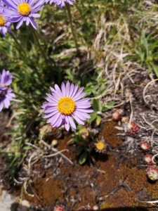 Denis Sabatier, le 25 juin 2019