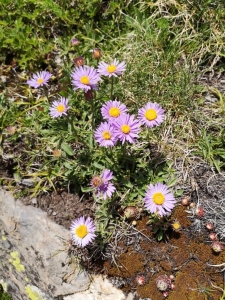 Denis Sabatier, le 25 juin 2019