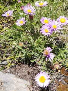 Denis Sabatier, le 25 juin 2019