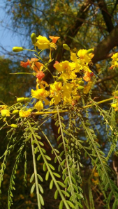 Anonyme, le 20 juin 2019 (Athènes)