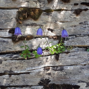 Yves Mouffron, le  1 août 2019