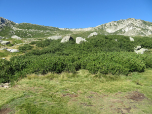 Pauline Guillaumeau, le 30 juillet 2019 (Monte Renoso, 20227 Bocognano, France)