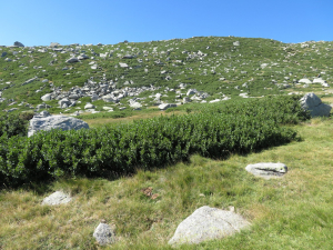 Pauline Guillaumeau, le 30 juillet 2019 (Monte Renoso, 20227 Bocognano, France)
