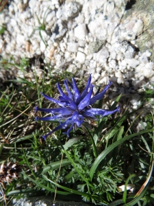 Pauline Guillaumeau, le 30 juillet 2019 (Monte Renoso, 20227 Bocognano, France)