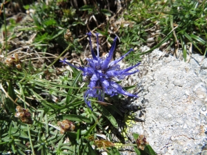 Pauline Guillaumeau, le 30 juillet 2019 (Monte Renoso, 20227 Bocognano, France)