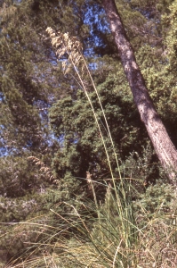 Liliane Roubaudi, le 14 avril 1997 (Espagne)