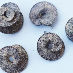 Photographie n°2345029 du taxon Medicago arborea L. [1753]