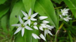 philippe Labarbe, le 19 avril 2020 (Seraing)