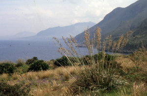 Liliane Roubaudi, le 19 avril 2003 (San Vito Lo Capo)