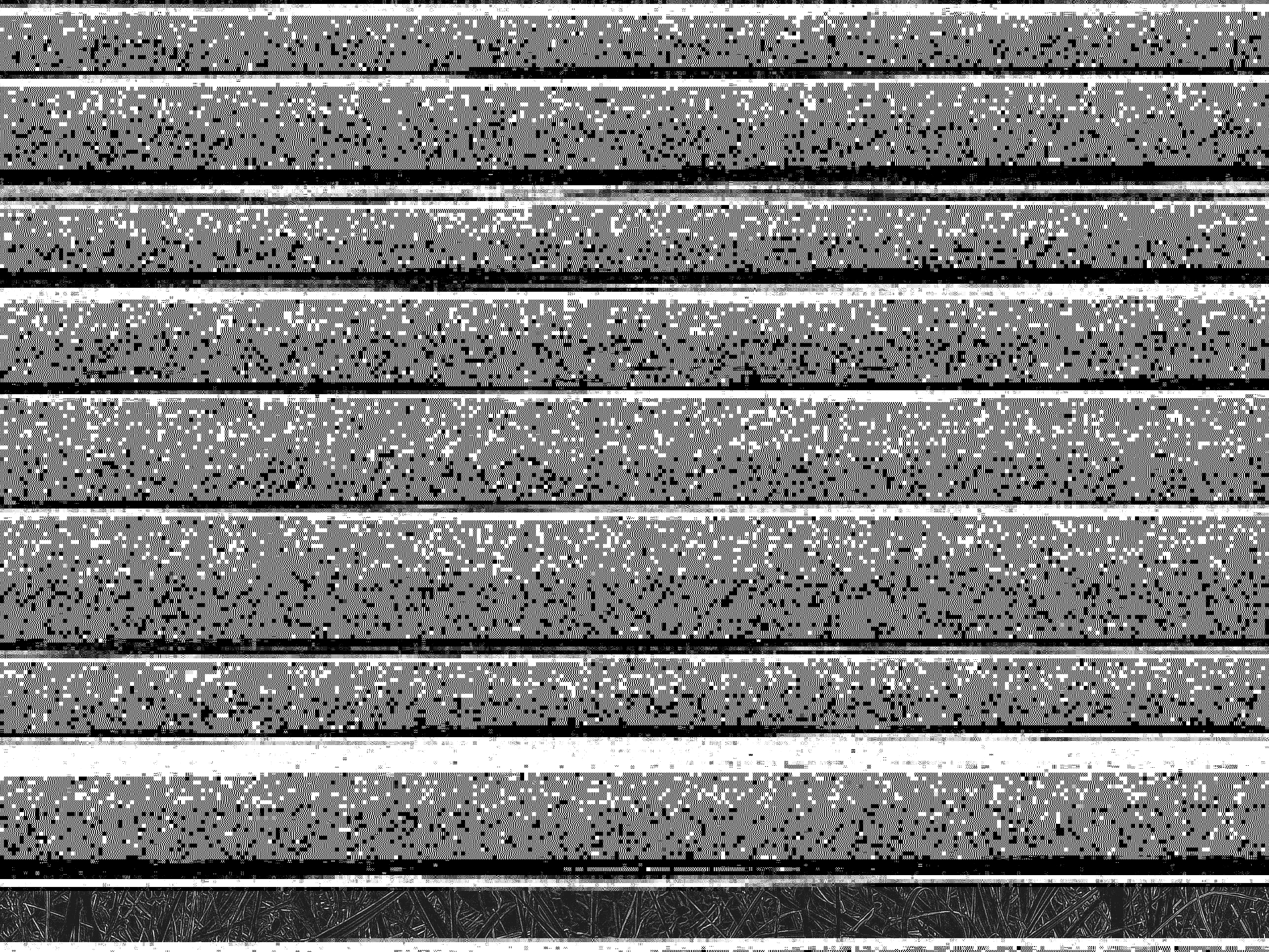  Aurélien Bour - Anacamptis coriophora (L.) R.M.Bateman, Pridgeon & M.W.Chase [1997]