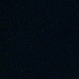 Photographie n°2425491 du taxon Poaceae 