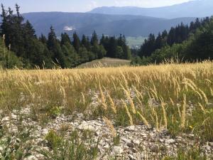 Marie Portas, le 16 septembre 2020 (Autrans-Méaudre en Vercors)