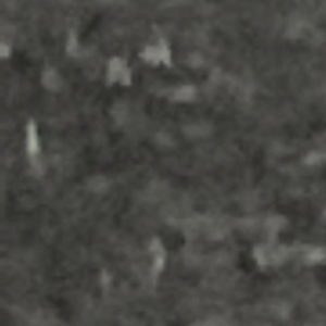 Photographie n°2472600 du taxon Medicago lupulina L. [1753]