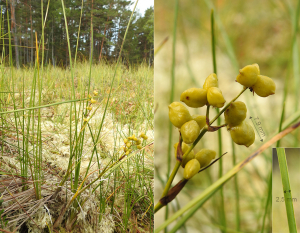 Christian Widmann, le 31 août 2018