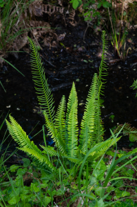 Jean-Luc Lemonnier, le 24 mai 2021 (Brech (Lann Kerdruen))