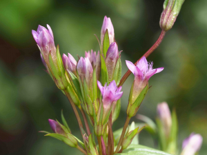 Jacques Valiergue, le 13 septembre 2021