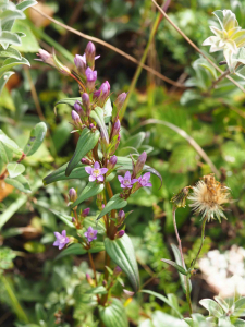 Jacques Valiergue, le 13 septembre 2021