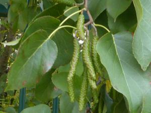 Anny Raim, le  5 novembre 2021 (Villeurbanne)