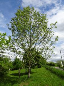 Alain Bigou, le 10 mai 2021 (Rignac (Croix Longue))