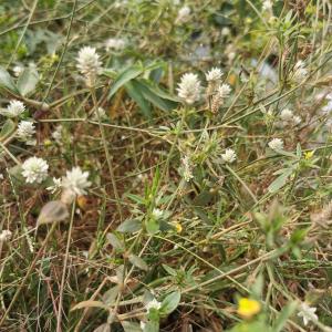 jean-philippe Joseph-edouard, le 30 janvier 2022 (Cotonou)