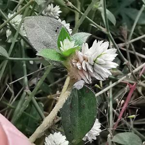 jean-philippe Joseph-edouard, le 30 janvier 2022 (Cotonou)