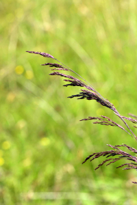 Jean Paul Saint Marc, le 20 juillet 2021 (Laruns)