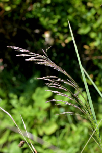 Jean Paul Saint Marc, le 20 juillet 2021 (Laruns)