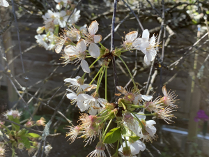 Liliane Roubaudi, le 10 avril 2022 (Villefranche-sur-Saône)